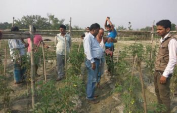 17498643_1370309869656752_5260182705709000477_n