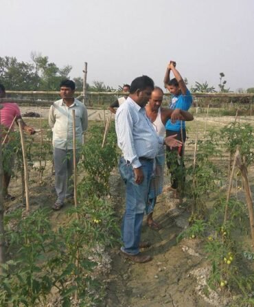 17498643_1370309869656752_5260182705709000477_n