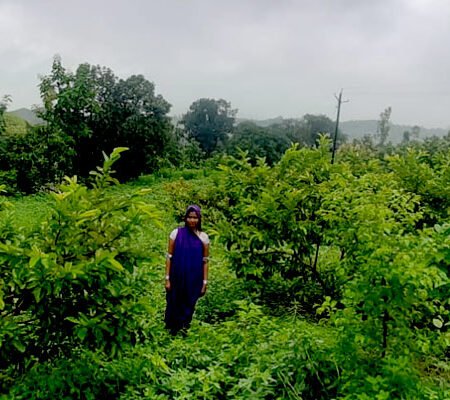 wadi-cultivation-a-fruitful-proposition-06